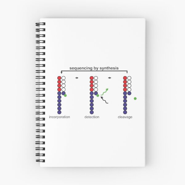 Item preview, sequencing by synthesis designed and sold by RosArt100.
