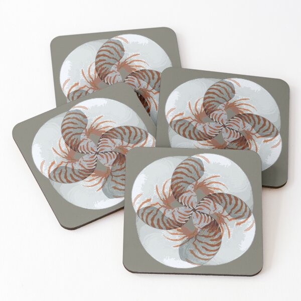 Item preview, Nautilus shell design by Chrissy Wild designed and sold by ChrissyWild.