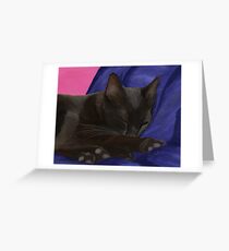 Black Cat Sleeping Greeting Card