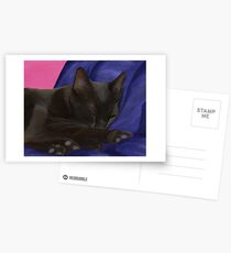 Black Cat Sleeping Postcards