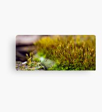 Another World Canvas Print