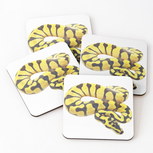 Item preview, Super Enchi Pastel ball python designed and sold by BDesignerMorphs.