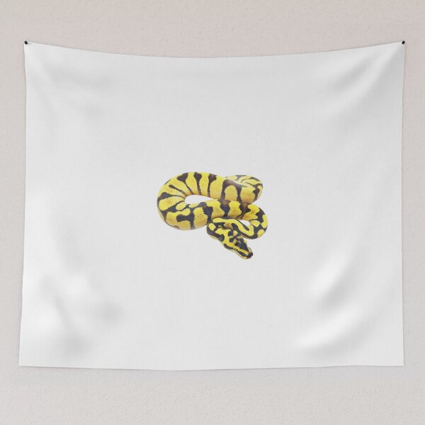 Item preview, Super Enchi Pastel ball python designed and sold by BDesignerMorphs.