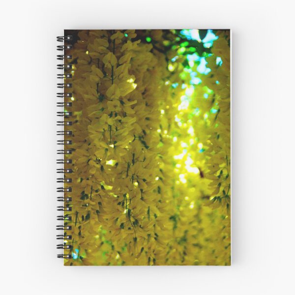 Item preview, Golden chain tree (Laburnum) designed and sold by lepoflex.