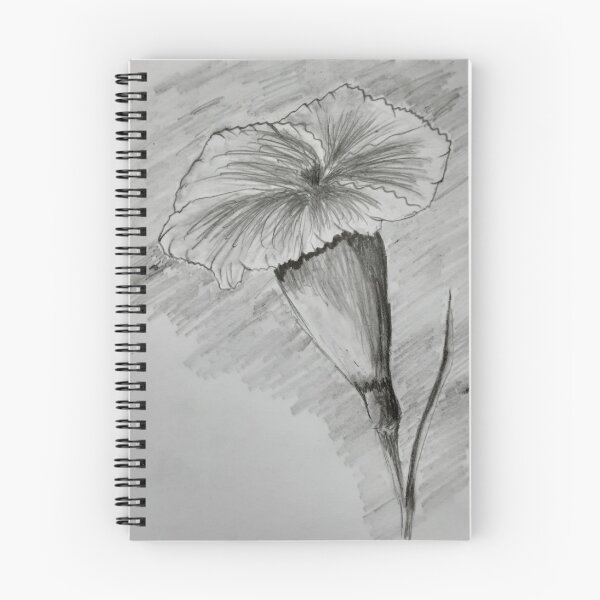 Item preview, Carnation, Susimalt, pencil drawing designed and sold by SusiMalt.