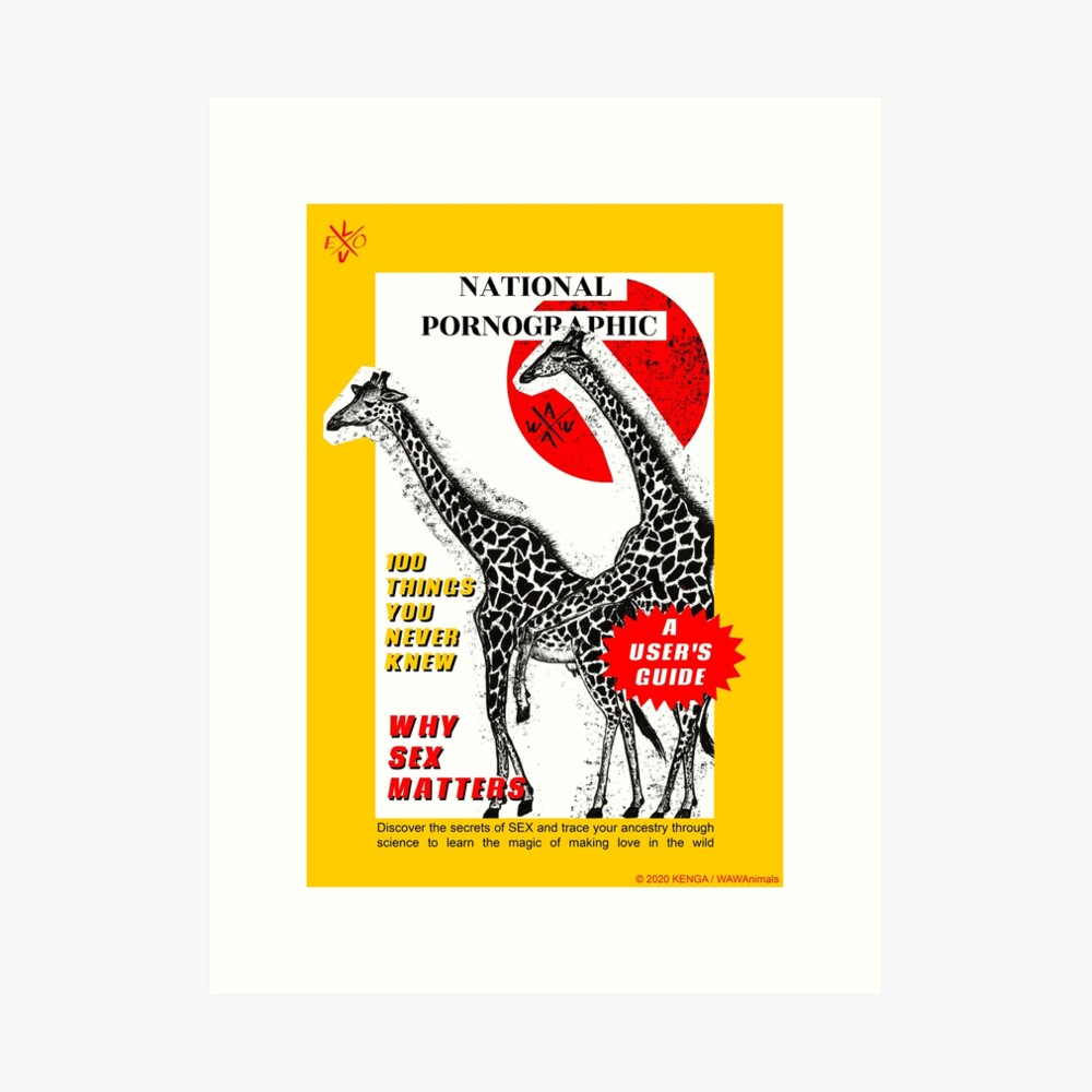 Póster for Sale con la obra «Nacional Pornográfico, amantes de la vida  silvestre, apareamiento de jirafas, animal salvaje travieso teniendo sexo»  de wawanimals | Redbubble