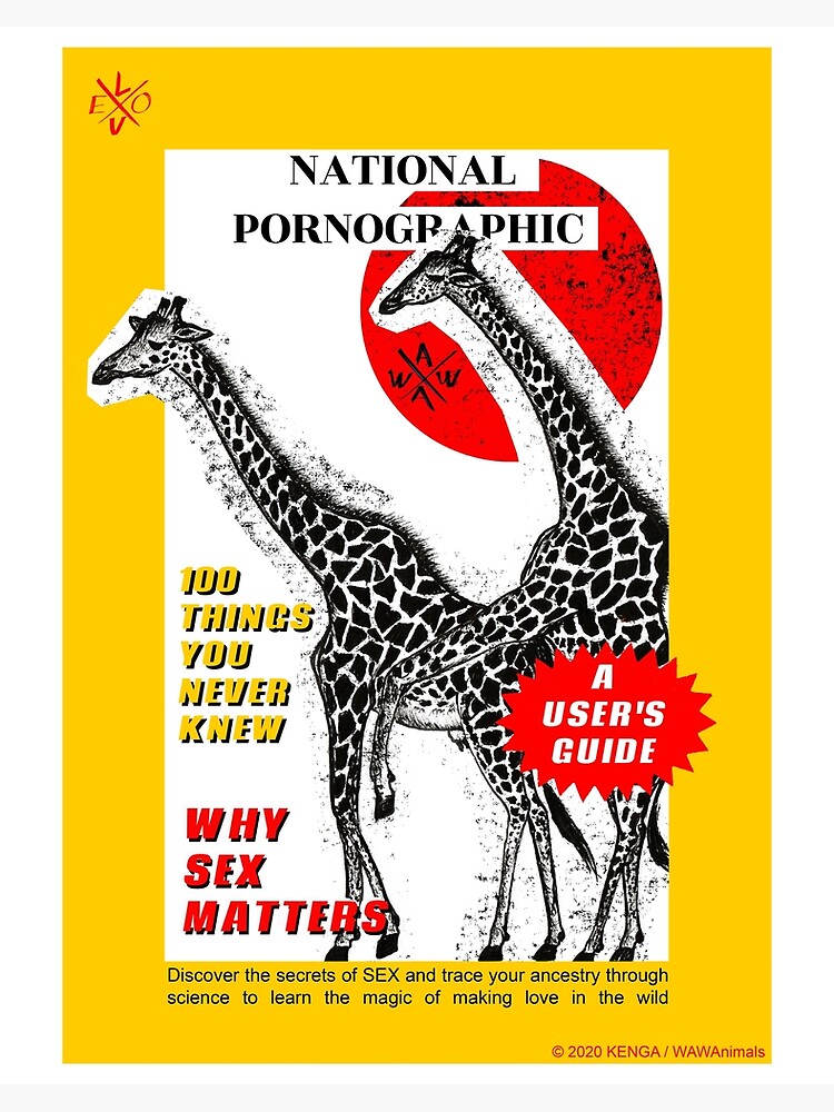 National Pornographic, Wildlife Lovers, Giraffe Mating, Naughty Wild Animal  Having Sex