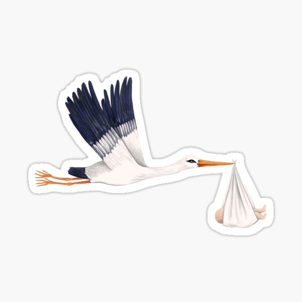 Stork Brings Baby Sticker