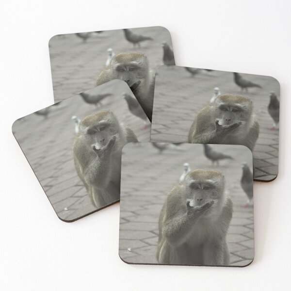 Item preview, Eating Monkey Photo designed and sold by spencer-r.