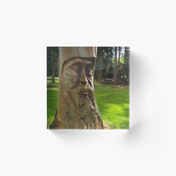 Tree Trunk Man Acrylic Block
