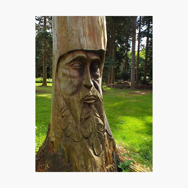 Tree Trunk Man Photographic Print