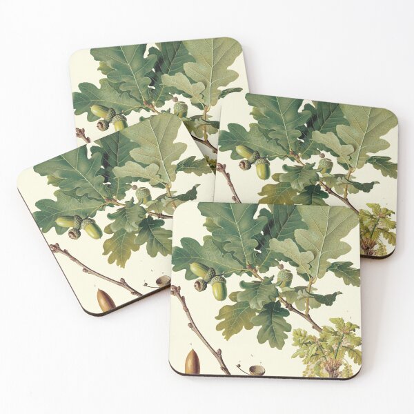 Item preview, Oak designed and sold by dovestar.