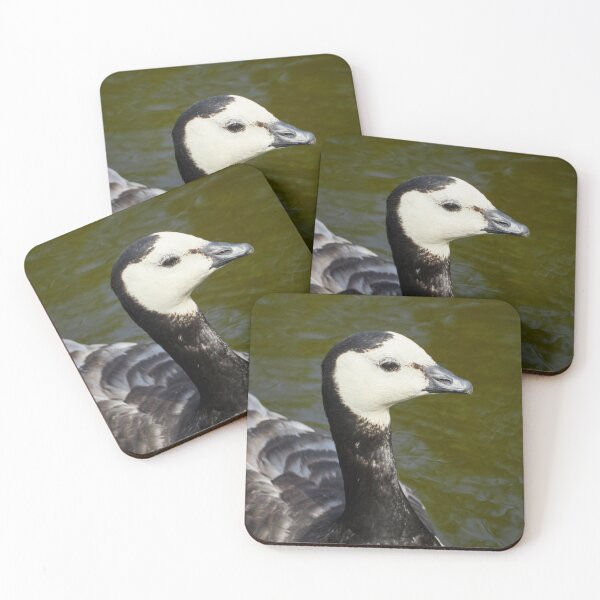 Item preview, Barnacle goose portrait designed and sold by Jouko Lehto Photography.