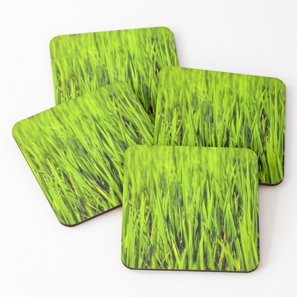 Item preview, Rice! designed and sold by Kezzles.