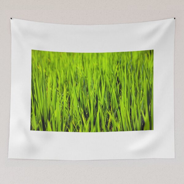 Item preview, Rice! designed and sold by Kezzles.