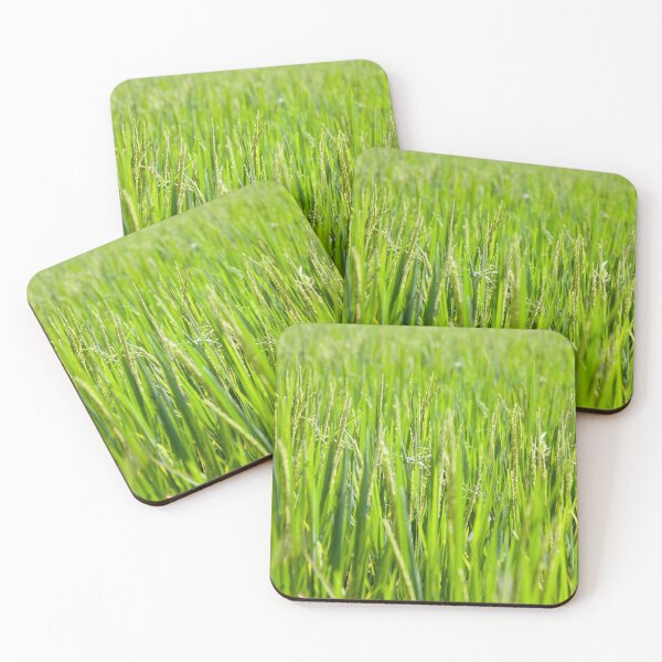 Item preview, The Rice Paddies of Tegalalang, Bali designed and sold by Kezzles.