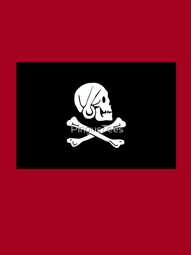 Jolly Roger Pirate Flag  G&M - Flags, Flagpoles, Signs, Banners