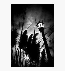 narnia scape Photographic Print