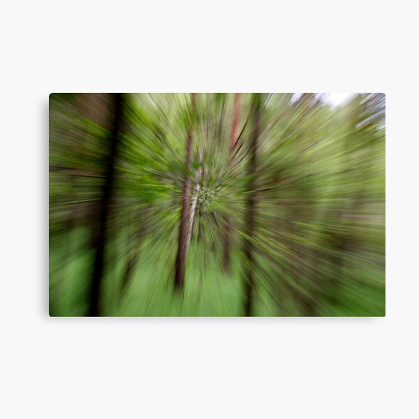 Lost in the Woods Canvas Print