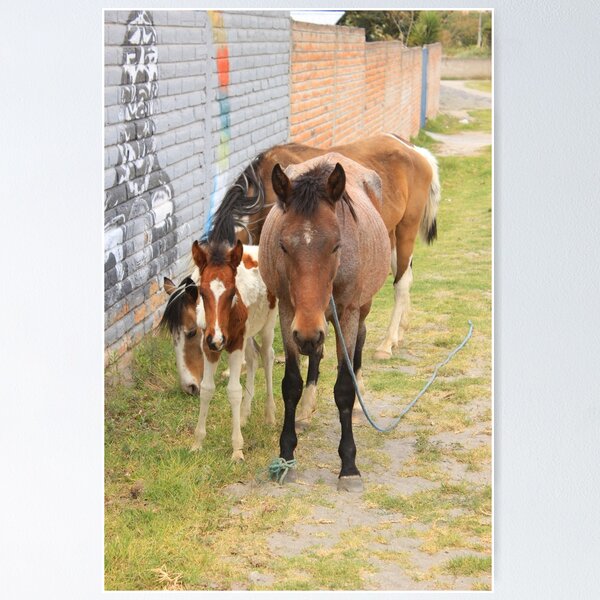 Item preview, Horses on a Street designed and sold by rhamm.