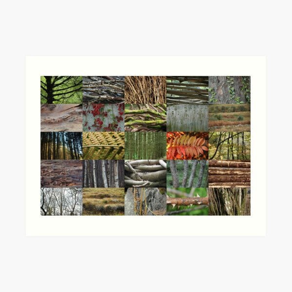 Woven Plants 5x5 Art Print