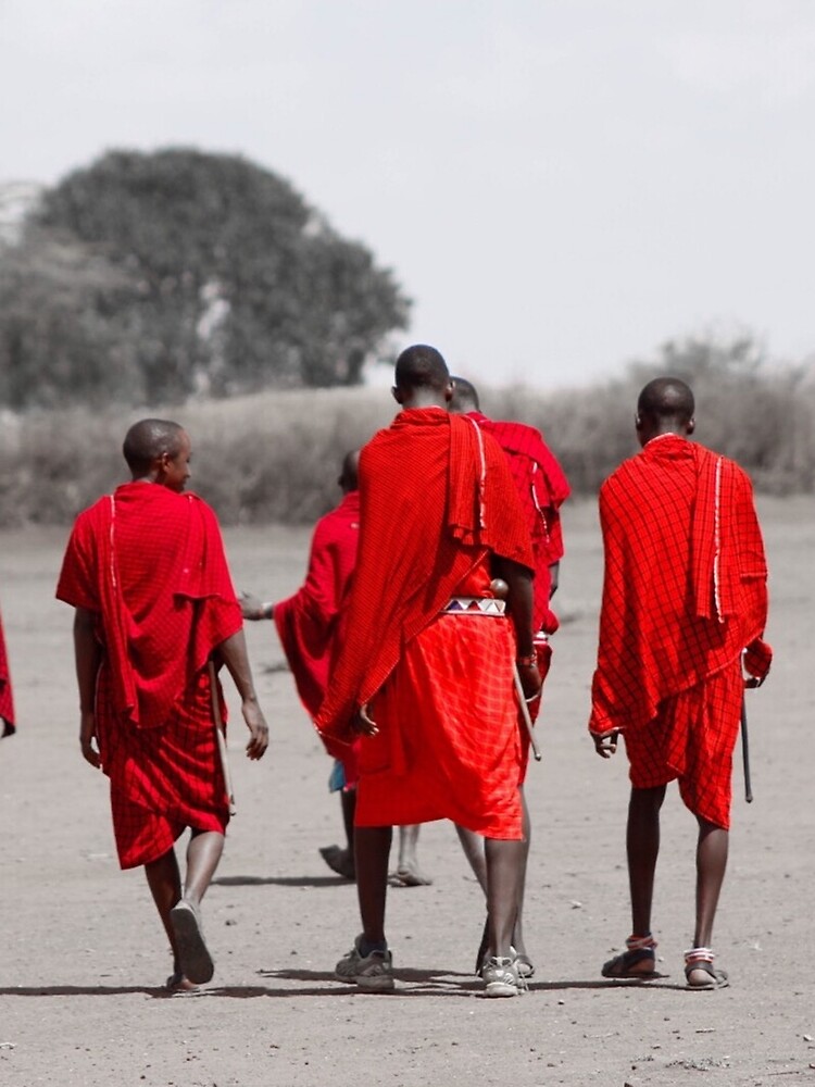 Maasai Shuka  Stylish scarves, African clothing, Maasai