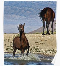 Splashing Poster