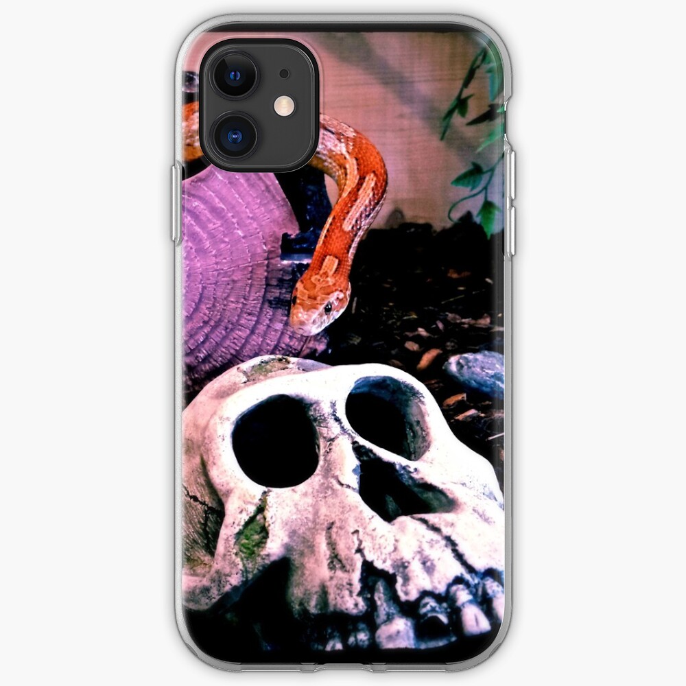 Snake or Skull iPhone-Hülle