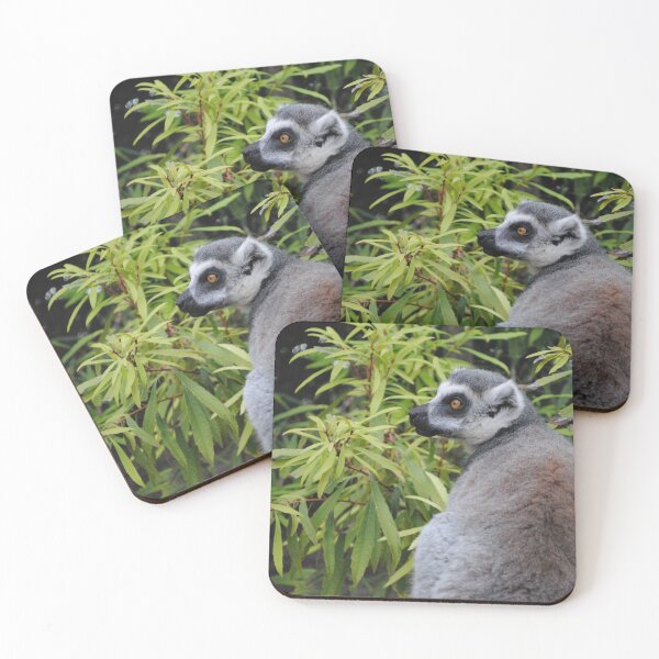 Item preview, Ringtail lemur photo designed and sold by PunkBiologist.