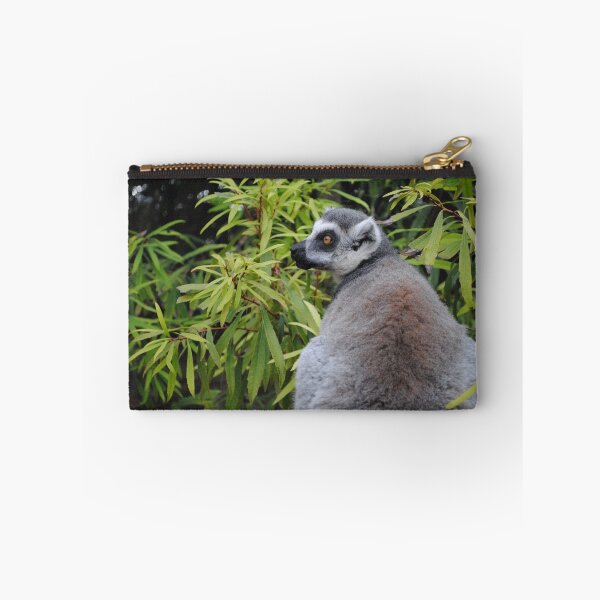 Item preview, Ringtail lemur photo designed and sold by PunkBiologist.