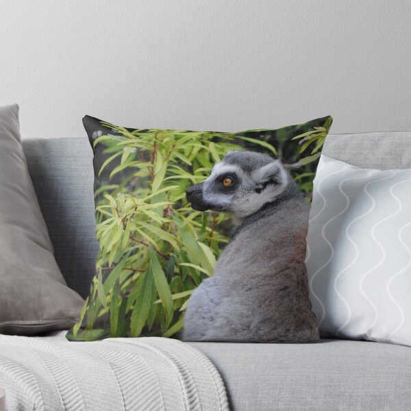 Item preview, Ringtail lemur photo designed and sold by PunkBiologist.