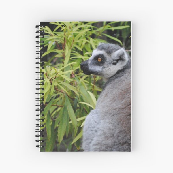 Ringtail lemur photo Spiral Notebook