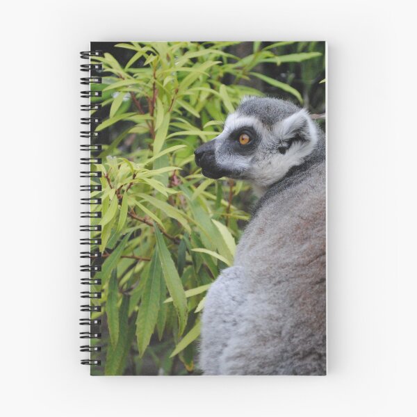 Item preview, Ringtail lemur photo designed and sold by PunkBiologist.