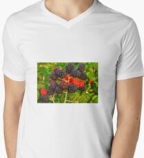 Fruit Men's V-Neck T-Shirt