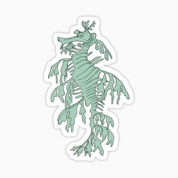 leafy seadragon Sticker