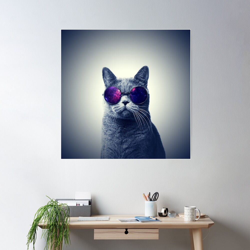 Poster Chat Avec Lunettes Pop – Déco Tendance, Neuf