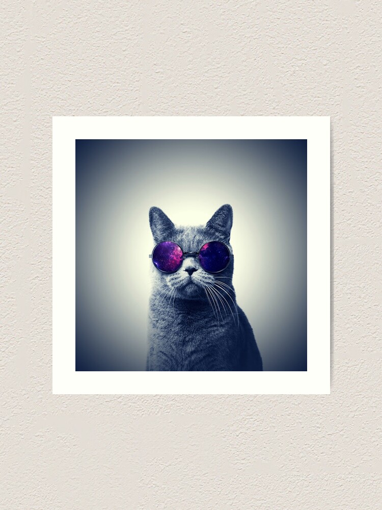 Cool cat wearing | Redbubble for Print sunglasses\
