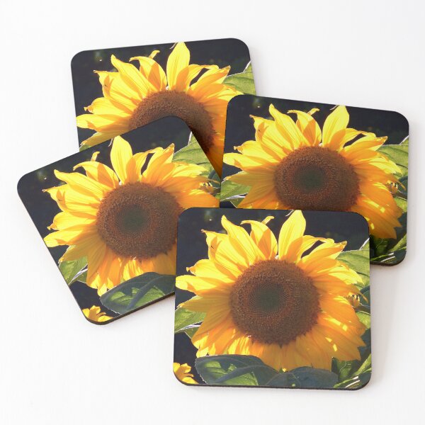 Item preview, Golden Glory - Sunflower with a black backdrop designed and sold by JanineRileyArt.