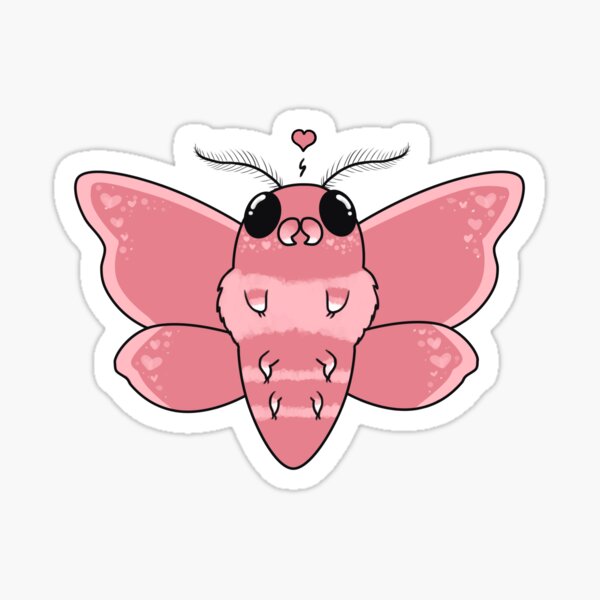 Sone Moth Sticker