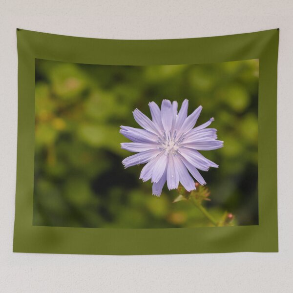 Item preview, Purple chicory flower designed and sold by lena-maximova.