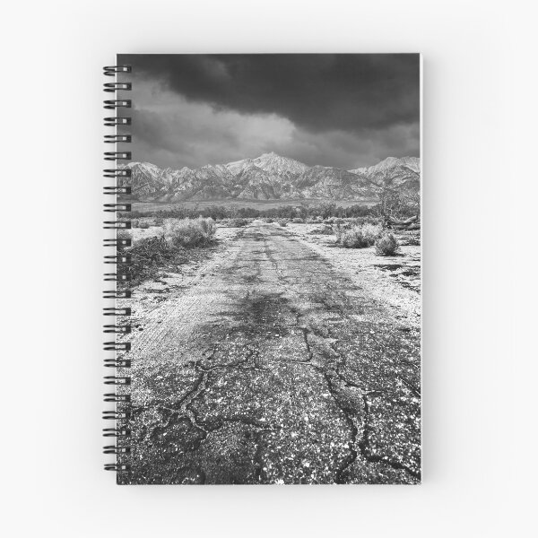 Item preview, Manzanar, War Relocation Center 4 designed and sold by Alex Preiss.