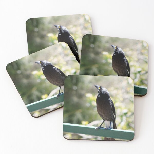 Item preview, Pete, the Pied Currawong designed and sold by DeborahMcGrath.
