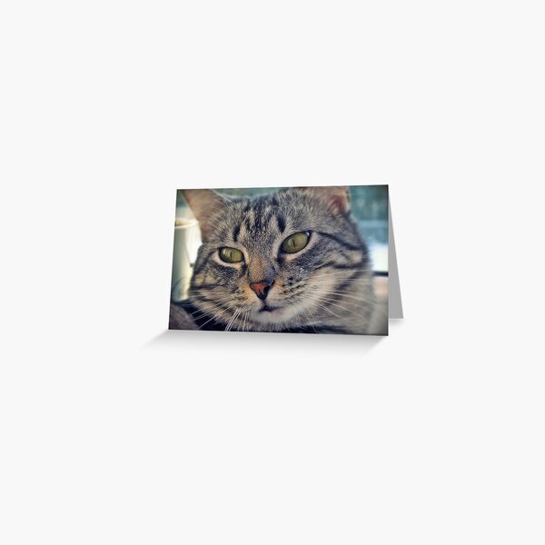 balbina Greeting Card