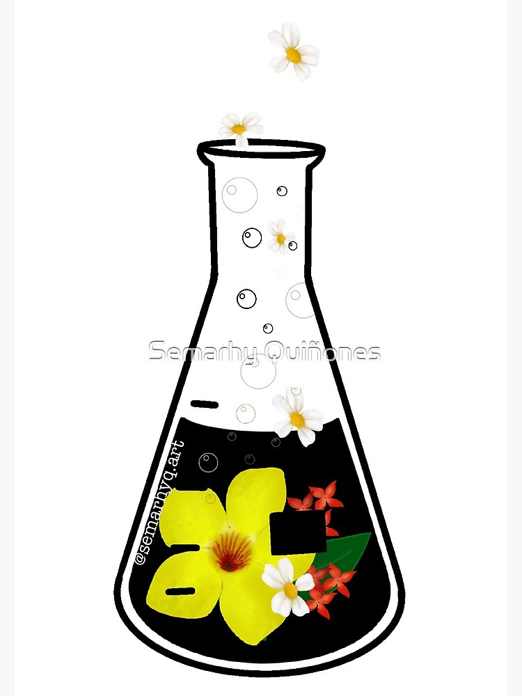 Conical flask by semarhy