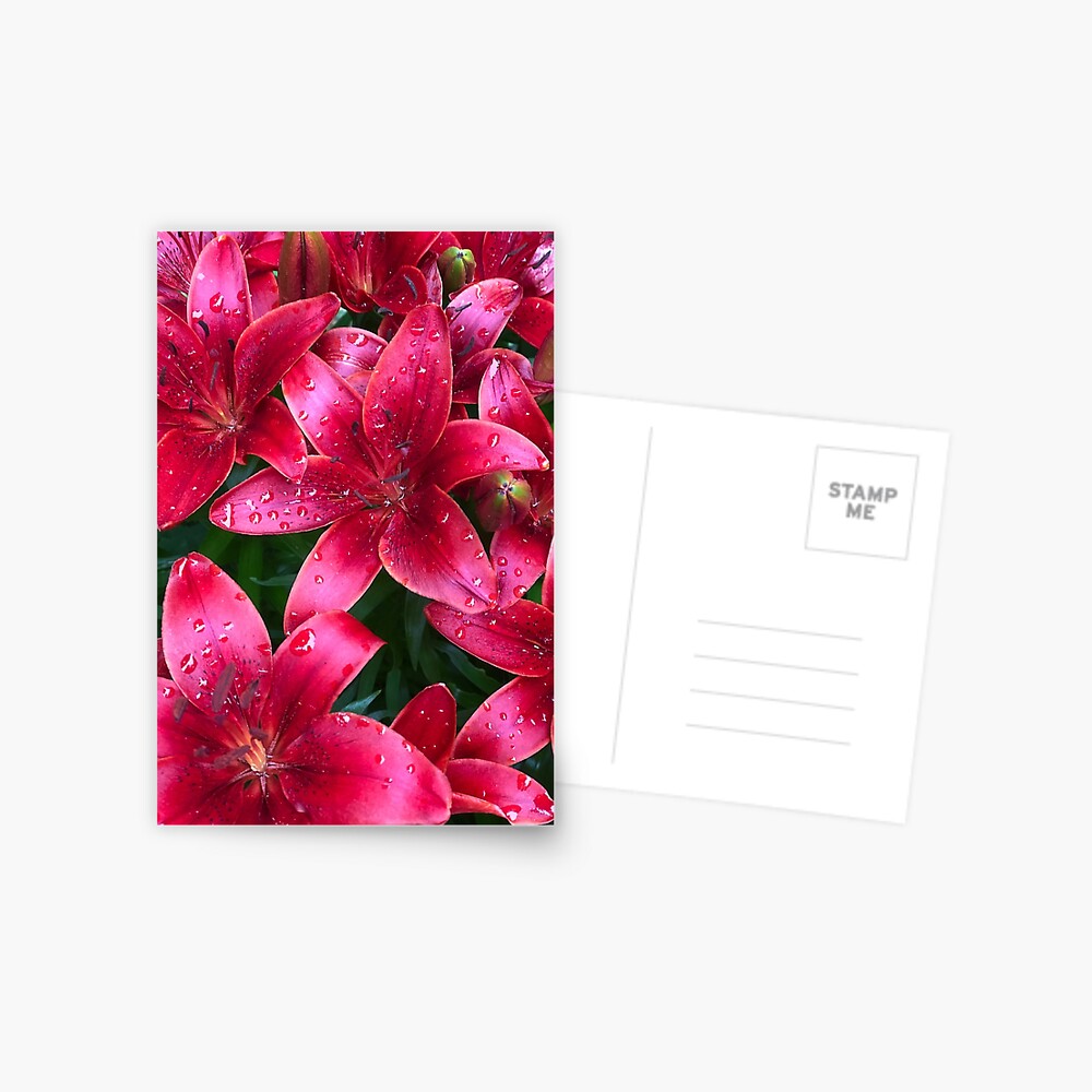 Item preview, Postcard designed and sold by KatieWagner29.