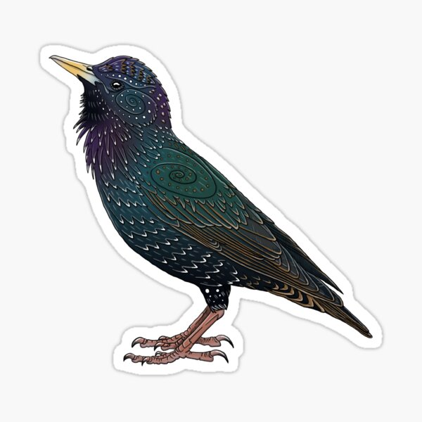 Item preview, Starling designed and sold by Corvola Creations.