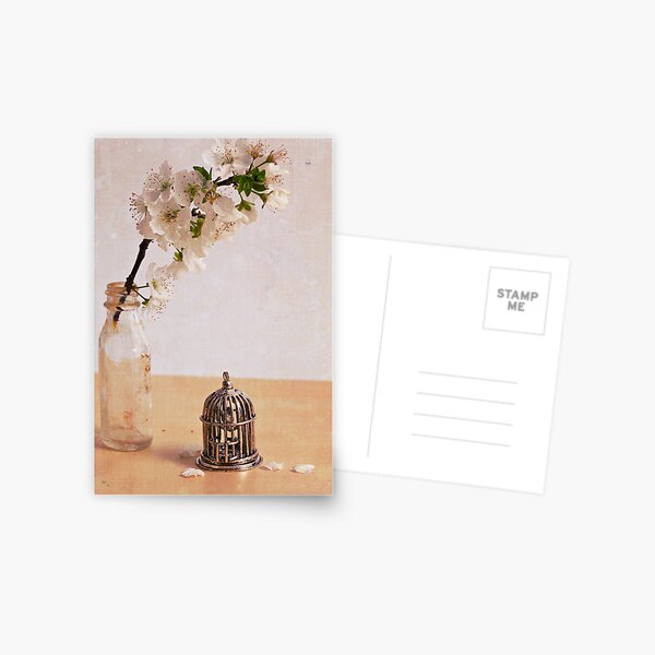 The caged Bird Sings Postcard