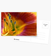 One Last Lily Postcards