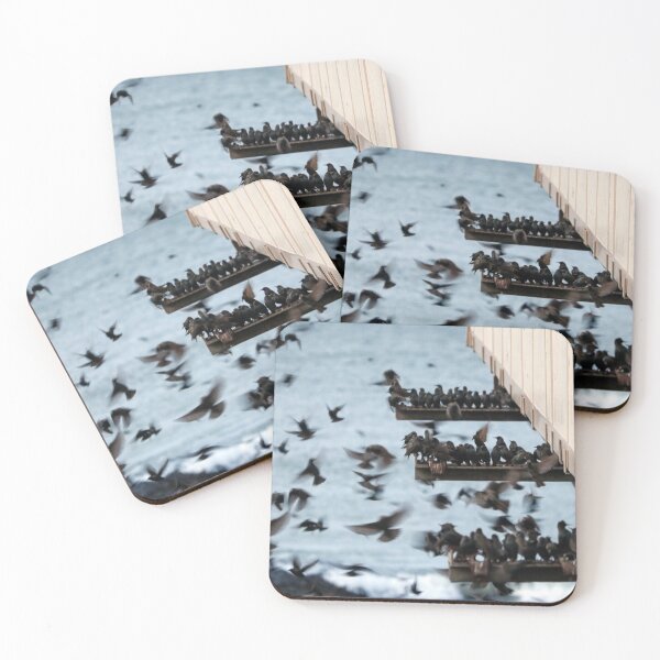 Item preview, Starlings at Aberystwyth Pier designed and sold by GreyFeatherPhot.