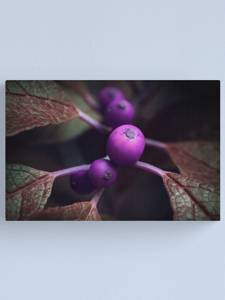Alternate view of Radioactive Canvas Print